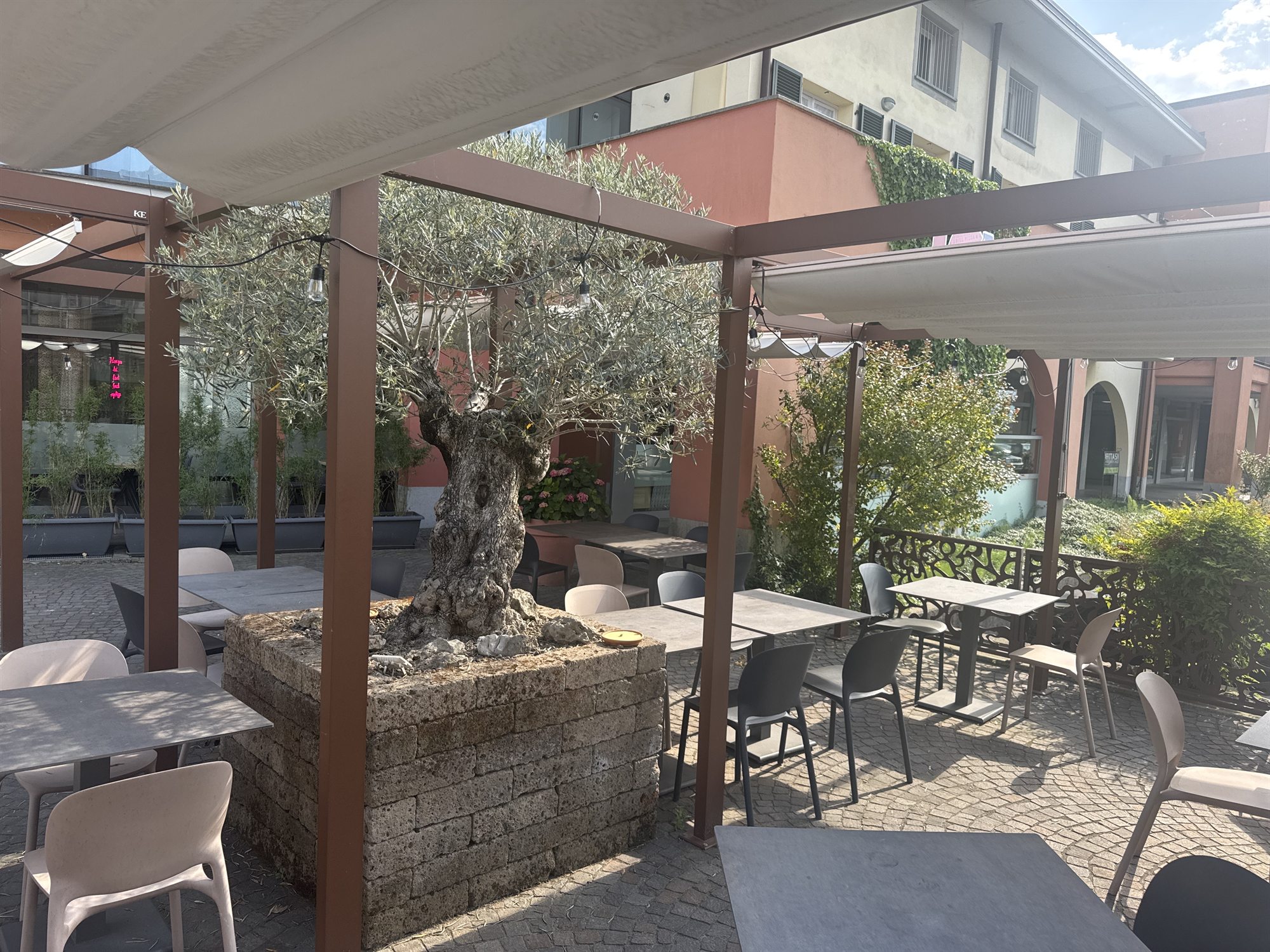 Dehors di LOVE Colico con ulivo e pergolato