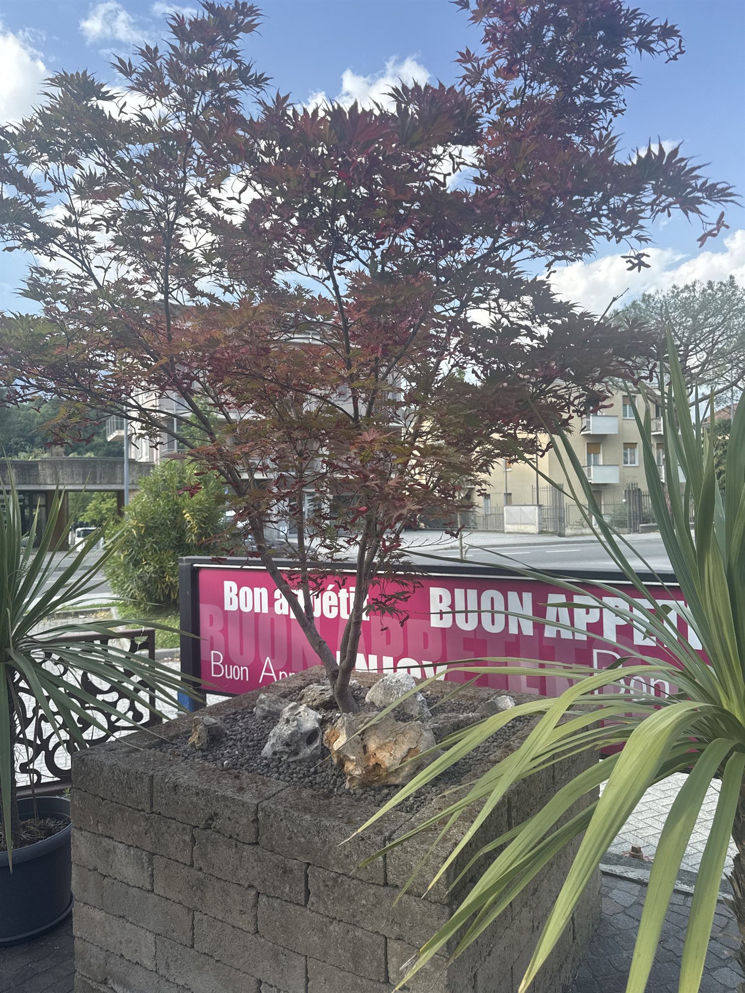 Giardino esterno con banner